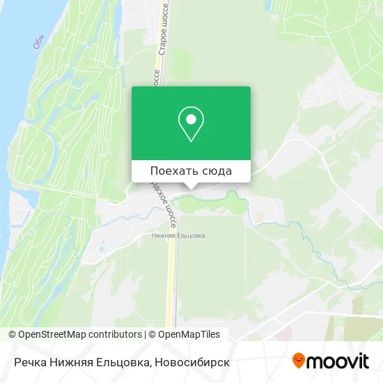 Карта Речка Нижняя Ельцовка