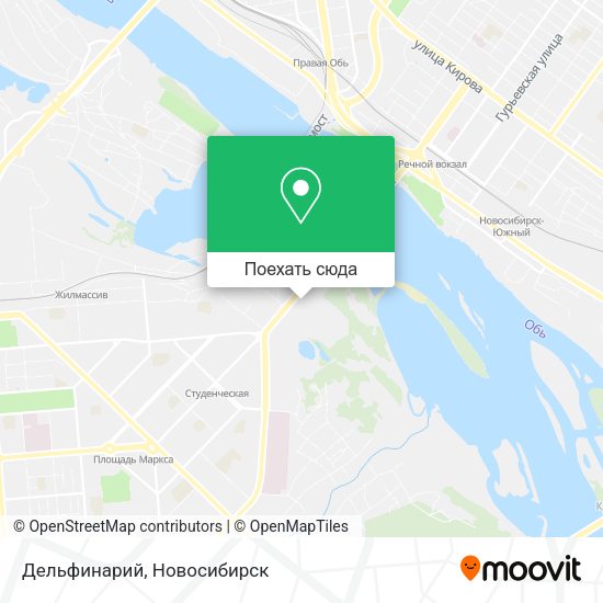 Карта Дельфинарий