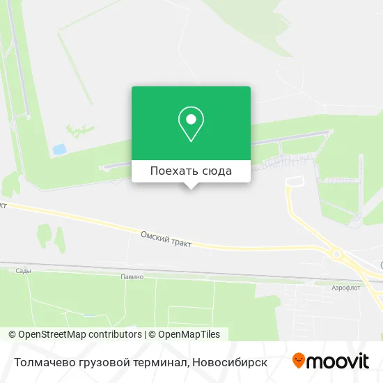 Карта Толмачево грузовой терминал