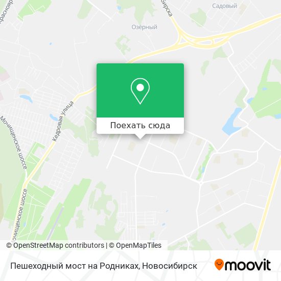 Карта Пешеходный мост на Родниках