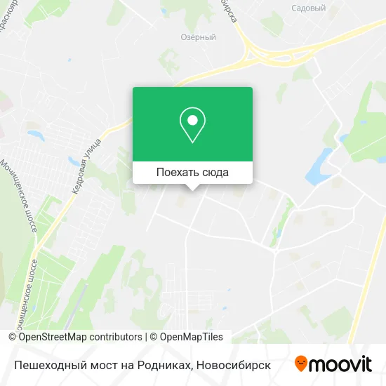 Карта Пешеходный мост на Родниках