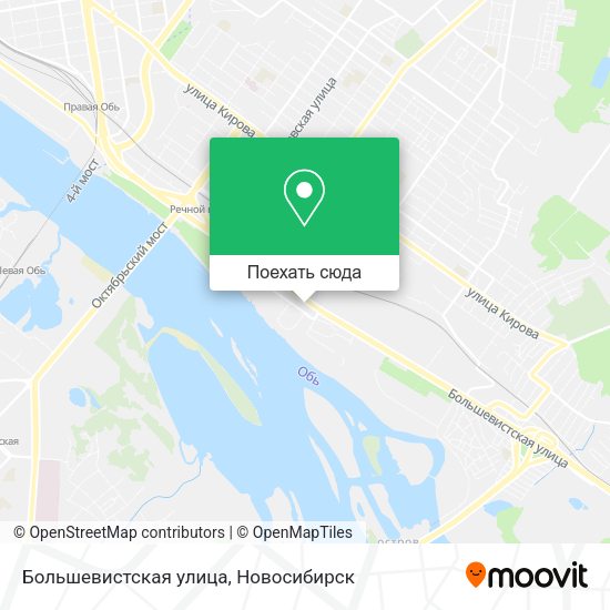 Карта Большевистская улица