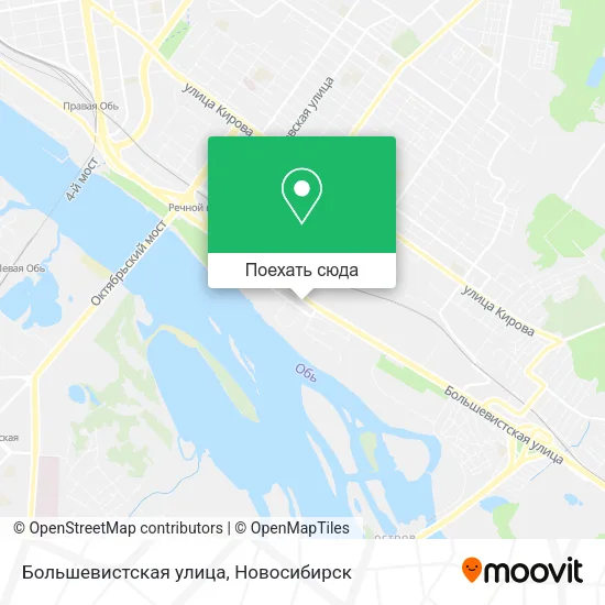 Карта Большевистская улица