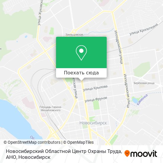Карта Новосибирский Областной Центр Охраны Труда, АНО