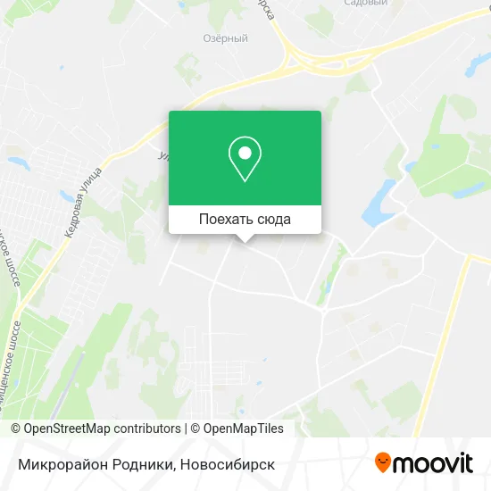 Карта Микрорайон  Родники
