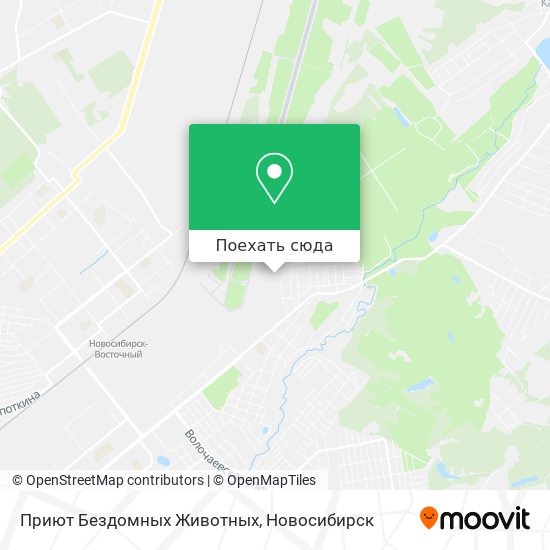 Карта Приют Бездомных Животных