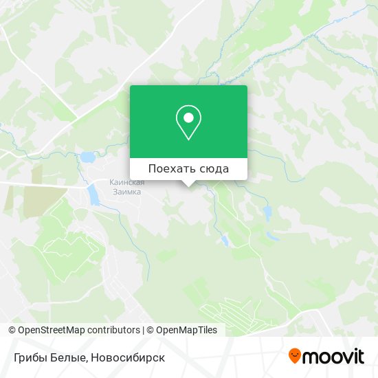 Карта Грибы Белые