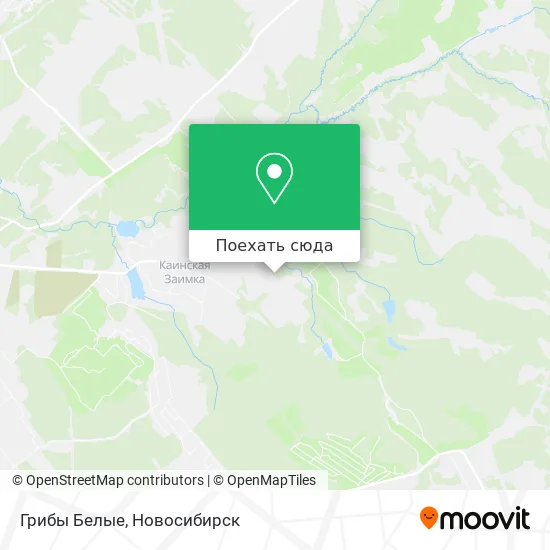 Карта Грибы Белые