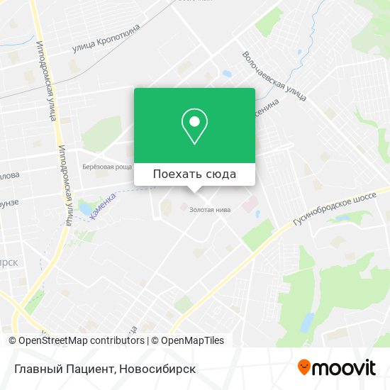 Карта Главный Пациент