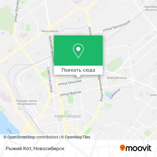 Карта Рыжий Кот