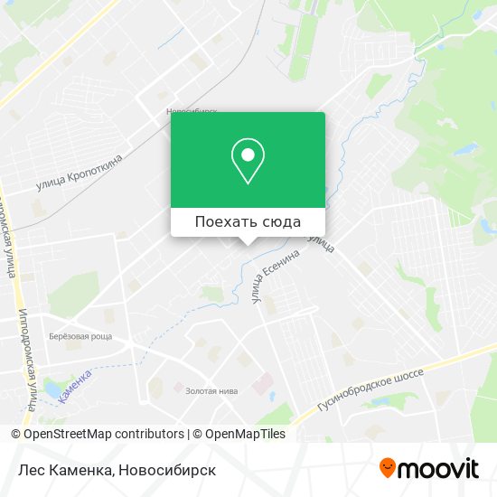 Карта Лес Каменка