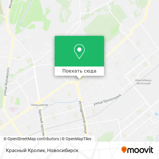 Карта Красный Кролик