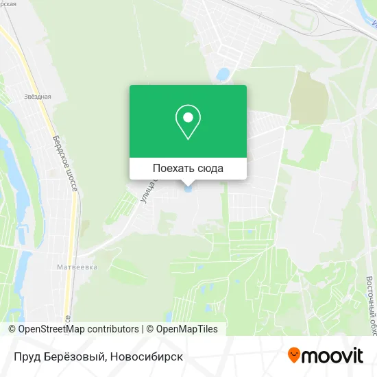 Карта Пруд Берёзовый