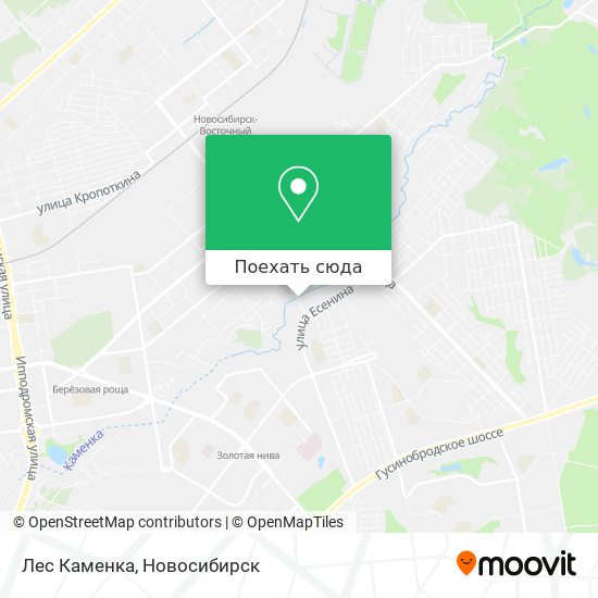 Карта Лес Каменка