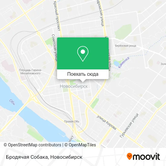 Карта Бродячая Собака