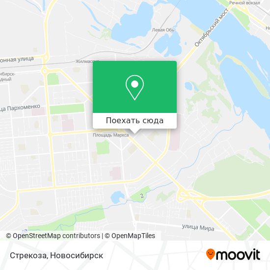 Карта Стрекоза