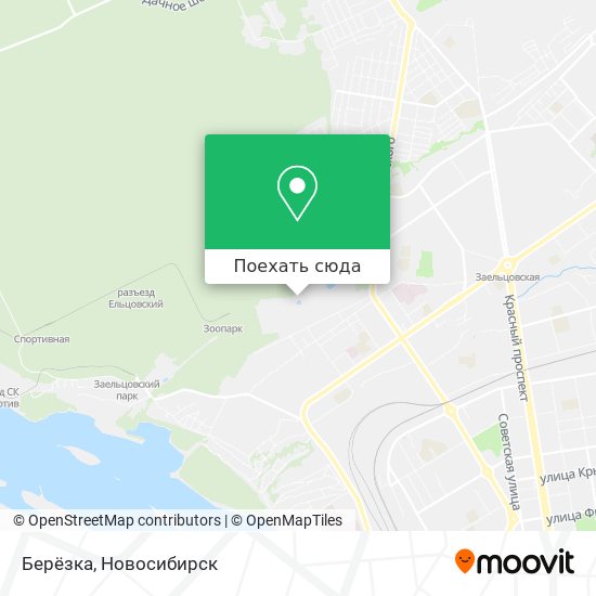 Карта Берёзка