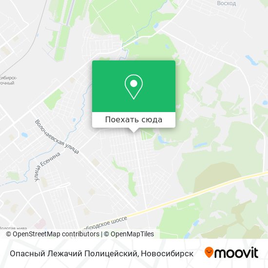 Карта Опасный Лежачий Полицейский