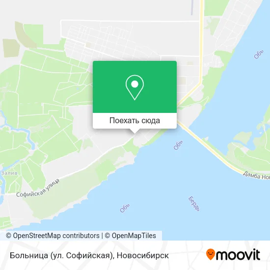 Карта Больница (ул. Софийская)