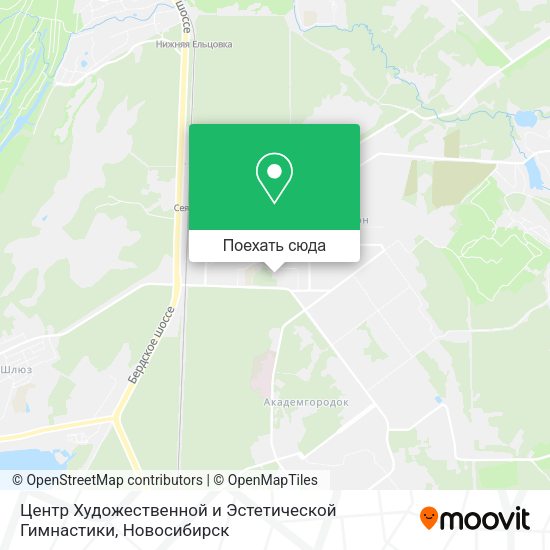 Карта Центр Художественной и Эстетической Гимнастики