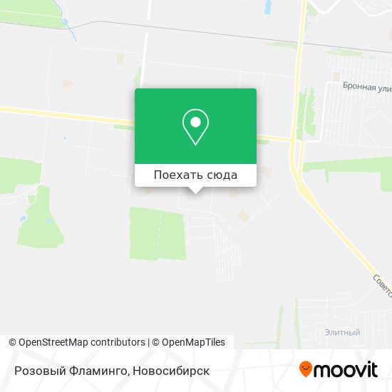 Карта Розовый Фламинго