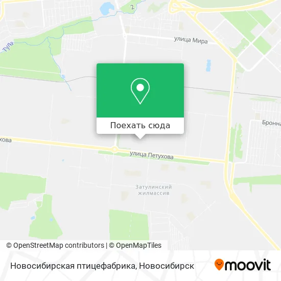 Карта Новосибирская птицефабрика