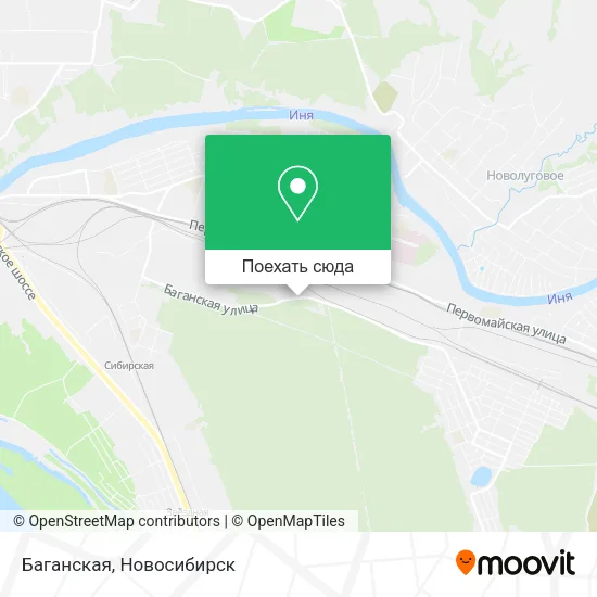 Карта Баганская