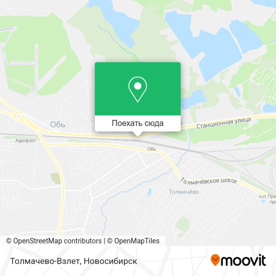 Карта Толмачево-Взлет