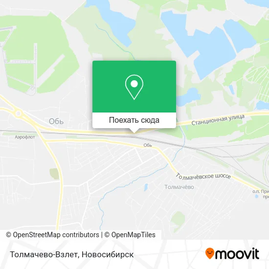 Карта Толмачево-Взлет