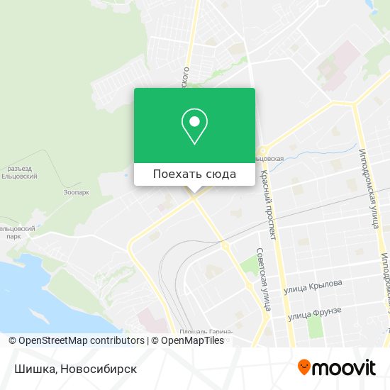 Карта Шишка
