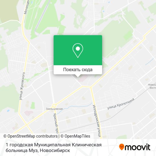 Карта 1 городская Муниципальная Клиническая больница Муз