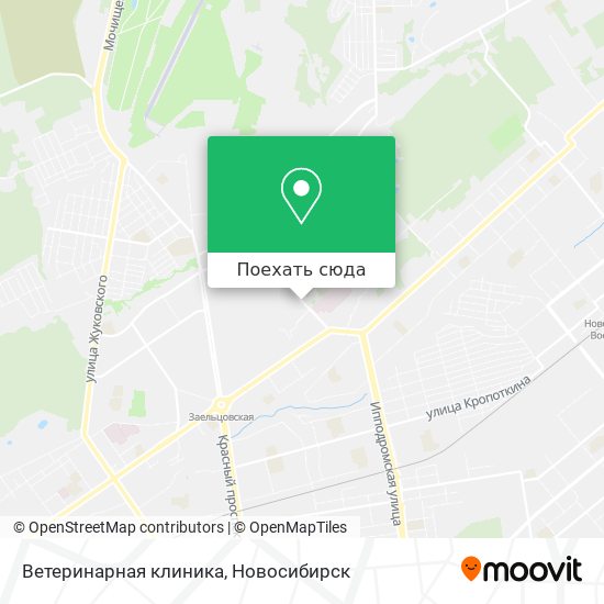 Карта Ветеринарная клиника