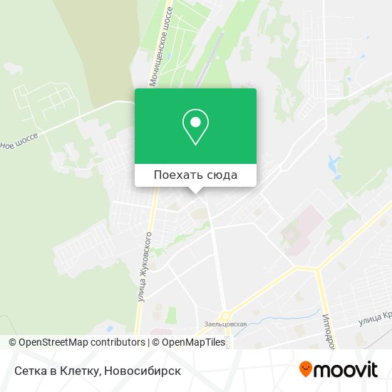 Карта Сетка в Клетку