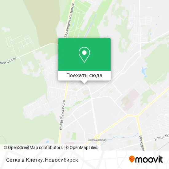 Карта Сетка в Клетку