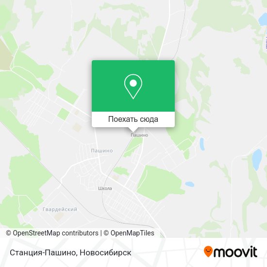 Карта Станция-Пашино