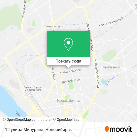 Карта 12 улица Мичурина
