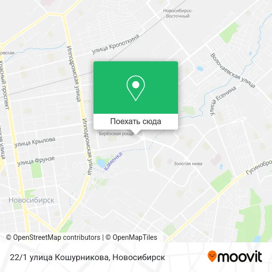 Карта 22/1 улица Кошурникова