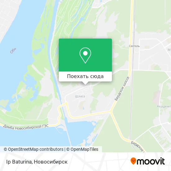 Карта Ip Baturina