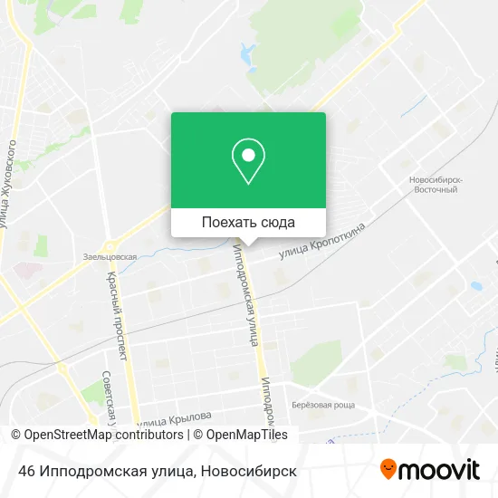 Карта 46 Ипподромская улица