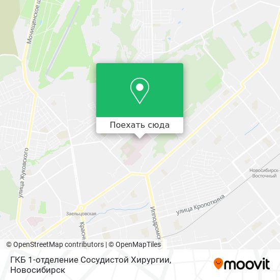 Карта ГКБ 1-отделение Сосудистой Хирургии