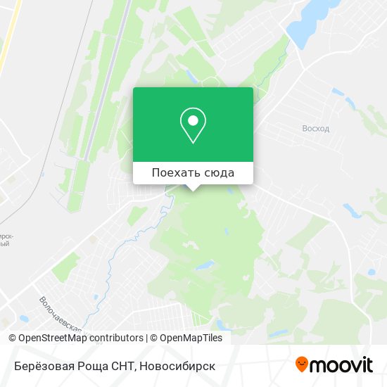 Карта Берёзовая Роща СНТ