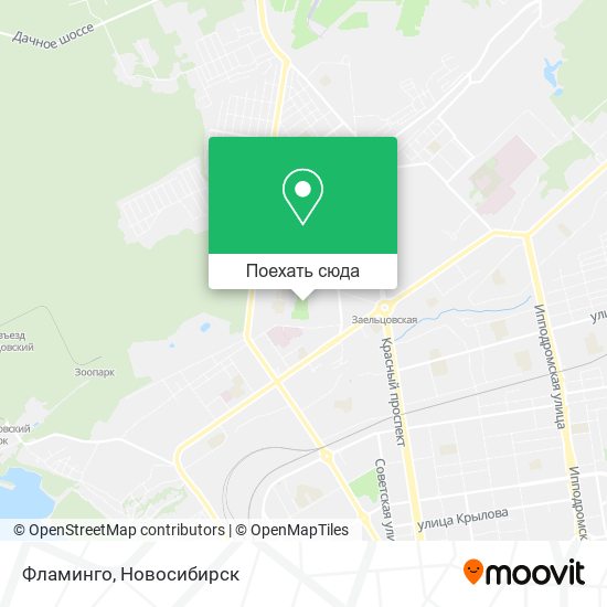 Карта Фламинго