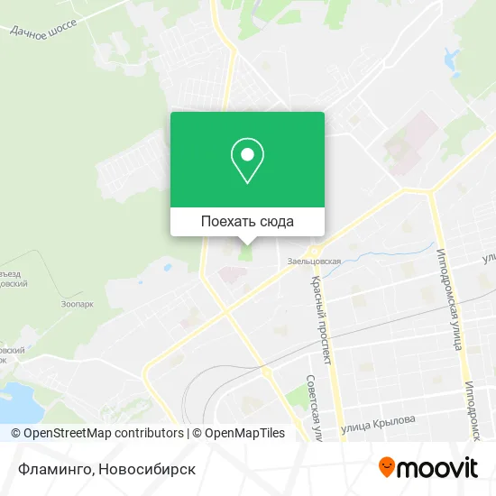 Карта Фламинго