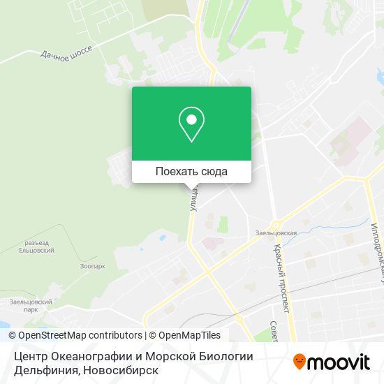 Карта Центр Океанографии и Морской Биологии Дельфиния