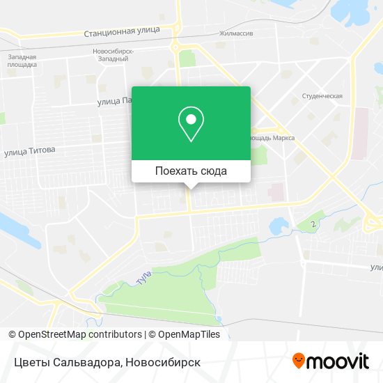 Карта Цветы Сальвадора