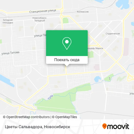 Карта Цветы Сальвадора