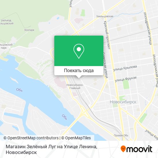 Карта Магазин Зелёный Луг на Улице Ленина