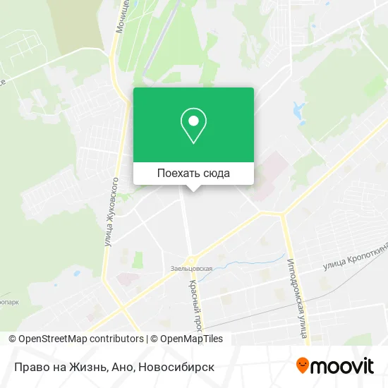 Карта Право на Жизнь, Ано