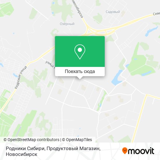 Карта Родники Сибири, Продуктовый Магазин
