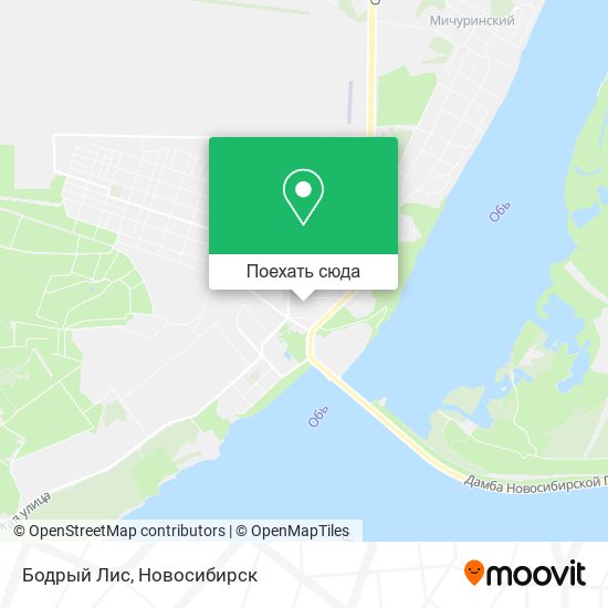 Карта Бодрый Лис